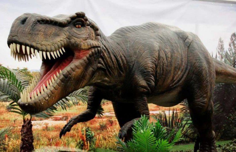 Entradas Dinosaurs Live Plasencia - dinosaurios Plasencia 2021