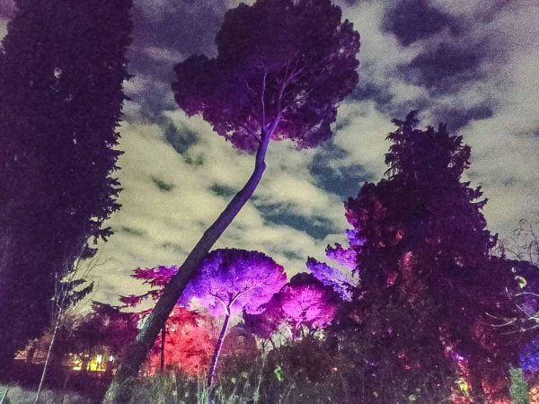 Naturaleza Encendida Jardin Botanico Madrid 2021 2022