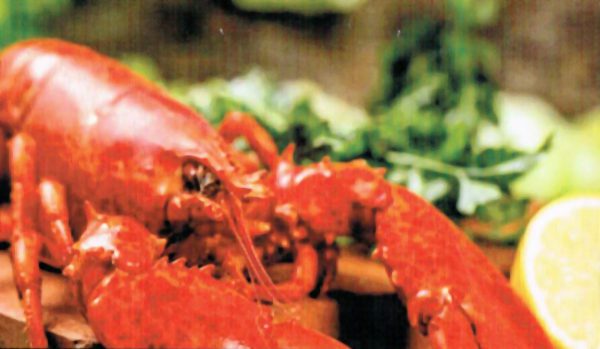 Fiesta del pulpo y del churrasco Collado Villalba 2025- Feria Villalba 2025: marisco, pulpo y churrasco